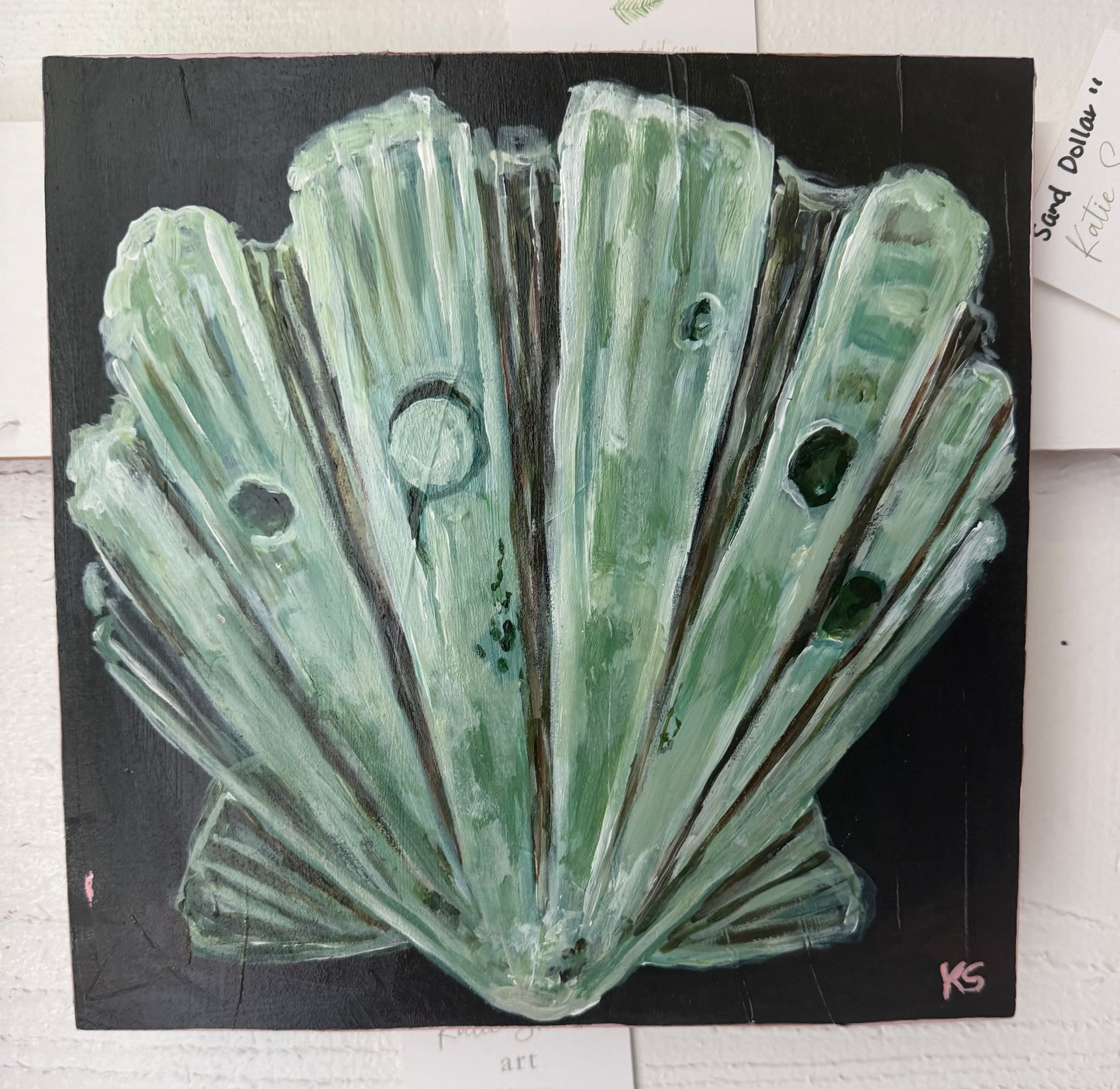 sea shell I