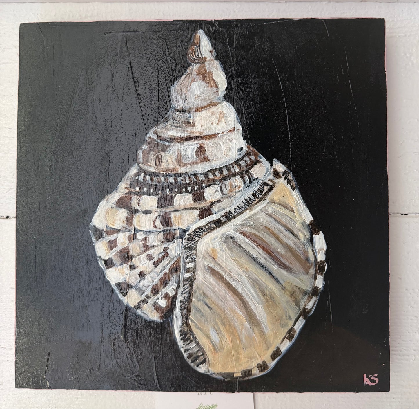 sea shell II