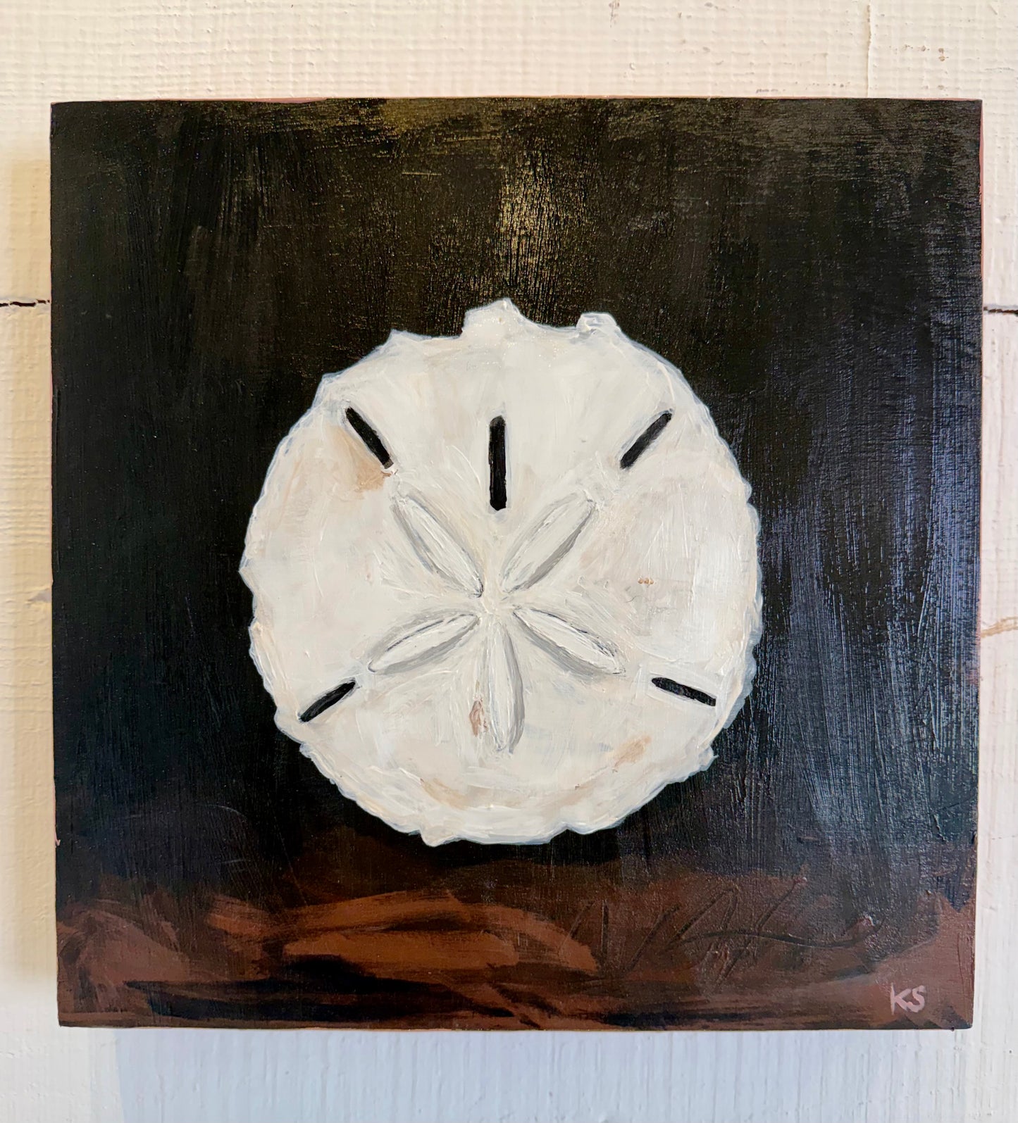 Sand Dollar