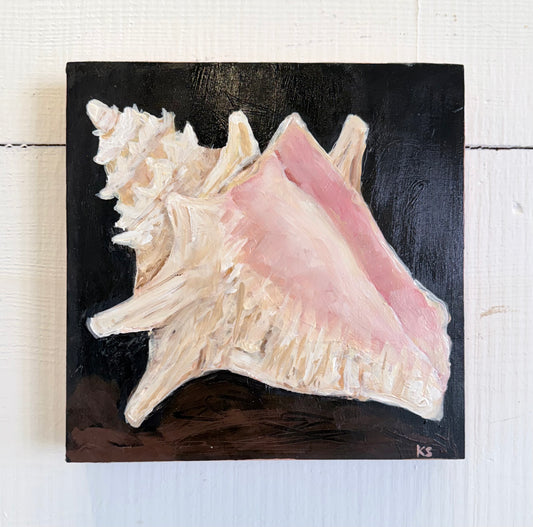 Conch