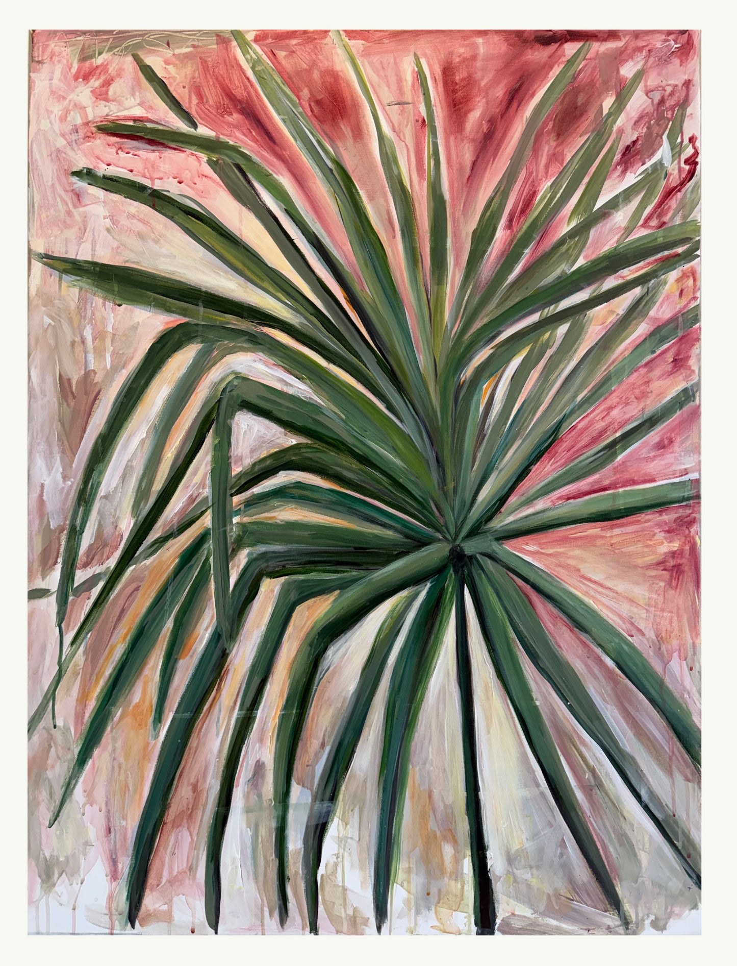 Sunset Palm